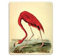 Mousepad - Natural Rubber Mouse Pad with Famous Fine Art Painting of American Flamingo by John James Audubon - Stitched Edges - 9.4"x7.9"