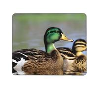 Mousepad Print Fun Cute Non-Slip Waterproof Mouse-pad for Laptop Computer Mousepad for Home Office Desk Accessories/Decor, Mallard Ducks