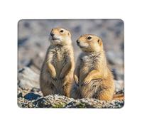 Mouses Pad 10 x 12 inch Mouses Mat Desk Pad Two Prairie Dogs MousePads for Man Woman Computer Mousemat with Non-slip Rubber Base Keyboard Mat for Work