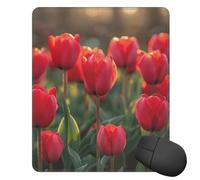 Mouses Pad 25x30 CM Mouses Mat Desk Pad Blooming in the Fields MousePads for Man Woman Computer Mousemats with Non-slip Rubber Base Keyboard Mat for Work