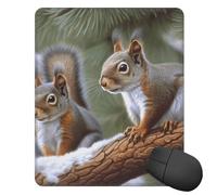 Mouses Pad 25x30 CM Mouses Mat Desk Pad Little Squirrel MousePads for Man Woman Computer Mousemats with Non-slip Rubber Base Keyboard Mat for Work