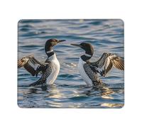 Mouses Pad 8.3 x 10.3 in Mouses Mat Desk Pad Loon Birds MousePads for Man Woman Computer Mousemat with Non-slip Rubber Base Keyboard Mat for Work