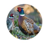 Mouses Pad Pheasants Animals Mouses Mat Round Non-slip Gaming Desk Pad with Rubber Base Washable Office Decor Keyboard Mat for Gaming Work Computer