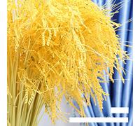 Mousidr Fake Grain Plant Artificial Paddy Rice Flowers Yellow Natural Plants for Home Office Hall Shop Window Garden Decoration (12 Packs 23.6inches)