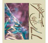 Mouth Full Of Glass [VINYL]