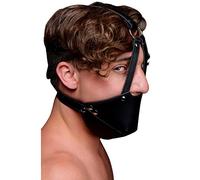 Mouth Harness with Ball Gag