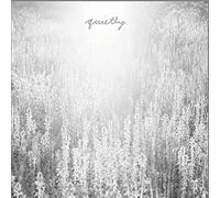 Mouth Of The Architect - Quietly