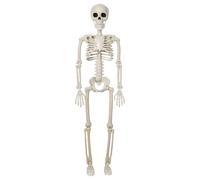 Movable Skeleton Skeleton Costume for Children Life-Size Human Skeleton Halloween Full Body Skeleton with Movable Joints Scary Party Decoration