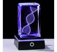 Movdyka 3D Crystal DNA Model Helix Desk Decor Night Light Gift for Teachers