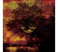 Movie Star Junkies - A Poison Tree