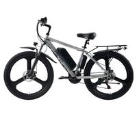 MOVIN M1 Electric Mountain Bike Silver