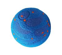 Moving Dog Toy Interactive Electric Automatic Rolling Toy