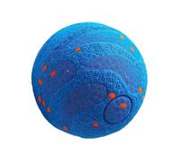 Moving Dog Toy Interactive Electric Automatic Rolling Toy