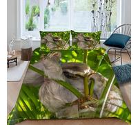 MOXINO Sloths Double Duvet Cover 200x200 cm Microfibre Ultra Soft 3D Sloths Bedding Set with Zipper Closure Comforter Quilt Cover with 2 Pillowcase 50x75(Pattern 163-4)