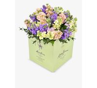 Moyses Stevens Mixed Stocks Bouquet