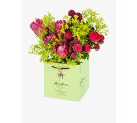 Moyses Stevens Moyses Stevens Everlasting Love Bouquet