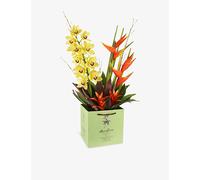 Moyses Stevens Moyses Stevens I Got You Babe Fresh Flower Bouquet