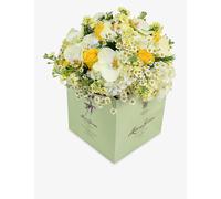 Moyses Stevens Moyses Stevens Oops A Daisy Bouquet