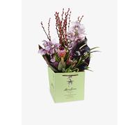 Moyses Stevens Moyses Stevens Ruby Tuesday Fresh Flower Bouquet