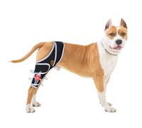Moysoon Dog Knee Brace for 4 Legs,Adjustable Dog Knee Brace with Reflective Material,Provide Strong Support for Small Medium Large Dogs,Size XXL.