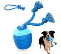 moytarcp Upgraded Smart Motion Pet Ball - Interactive Dog Toys with Motion Activated, for Bored Pet Cats Dogs, Keeping Your Furry Friend Happy and Active. (Blue)