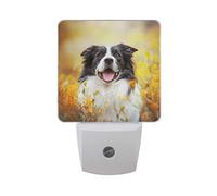 Moyyo Happy Border Collie Dog In the Flowers Night Light Plug in LED Dusk to Dawn Sensor Soft Night Light Lamp Wall Lights Decorative Home Indoor Bedroom Kitchen Toilet Hallway for Kids Children Adult