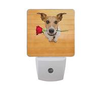 Moyyo Jack Russell Dog With Rose Night Light Plug in LED Dusk to Dawn Sensor Soft night light Lamp Wall Lights Decorative Home Indoor Bedroom Kitchen Toilet Hallway for Kids Children Adults