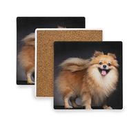 Moyyo Pomeranian Cute Dog Coasters Glass Drink Coasters Square Ceramic and Wooden Insulation Mats Coasters for Drinks Coffee Cup Mug