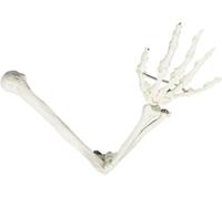 MOZ4dxy Human Arm Skeleton Model - Medical Anatomy Human Upper Limb Skeleton Model - Life Size Upper Limb Skeleton Teaching Model - Medical Model For Learning And Teaching