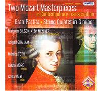 Mozart, W.a. - Masterpieces in Contemporary Transcriptions