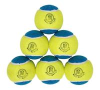 Mozi Sports Cricket Tennis Balls- Heavy Rubber Tennis Balls for Cricket Play Weight 120gm (Blue/yell)