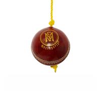 Mozi Sports String Cricket Balls - Develop Hand-Eye Coordination Leather Hanging Ball for Practice
