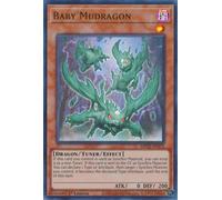MP22-EN172 Baby Mudragon