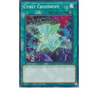 MP22-EN247 Cynet Crosswipe