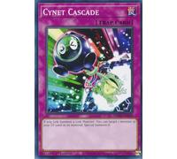 MP22-EN249 Cynet Cascade