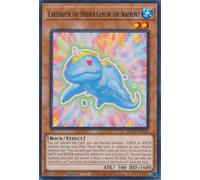 MP23-EN132 Cartorhyn the Hidden Gem of the Seafront