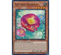 MP23-EN171 Naturia Camellia