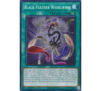 MP23-EN195 Black Feather Whirlwind
