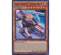 MP24-EN181 Gold Pride - Nytro Head