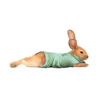MPS Medical Pet Shirt Rabbit, Surgery Recovery Suit, Green, X-Small