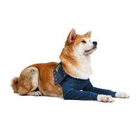 MPS Medical Pet Shirt - TAZ2, Double Front Leg Sleeve for Dog, Large Blue