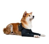 MPS Medical Pet Shirt - TAZ2, Double Front Leg Sleeve for Dog, XX-Large
