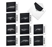 MQ4960OCB-B1x10 Whale Known: 10 Assorted Blank Note Cards Featuring Informational, Illustrated Images of Earth's Largest Sea Creatures, with Envelopes.