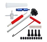 Mqetly Quick Change Tire Valve Tool Kit Sturdy Valve Stem Tool Kit for Replacing Leaky Valves for Truck Motorcycle Cars, 30pcs