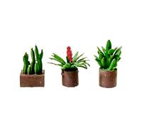 Mqiklt Miniature Bonsai Plant Model Flower Dollhouse Pot Plants Ornament Resin Suitable for Landscape Miniature Fairy Garden Office, coffee