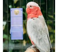 MQODLFP Bird Food Bowl Parrot Food Container Simple Structure Feeding Bowl the Birds Supplies Bird Feeder B