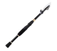 MQPALZKD 1.8-2.4m Telescopic Fishing Rods Weight Spinning Casting Carbon Pole Fishing Accessories Caña De Pescar(24cm)