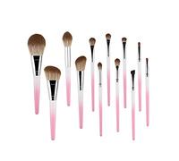 MQPALZKD 12 Pcs Makeup Brushes Set Cosmetic Eye Shadow Eyeliner Foundation Blush Blending Beauty Make Up Brush(D)