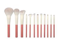 MQPALZKD 12 Pieces Makeup Brush Set Complete Set Convenient Highlighting Concealer Brush Beauty Tools
