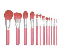 MQPALZKD 12 pieces of makeup brushes, makeup tools, foundation make-up, eye shadow, complete set(D)